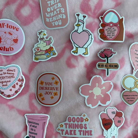 Brandy Melville Accessories - Pink is a personality sticker bundle